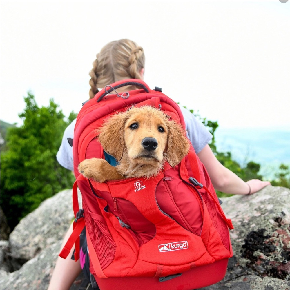 Kurgo G-Train Dog Carrier